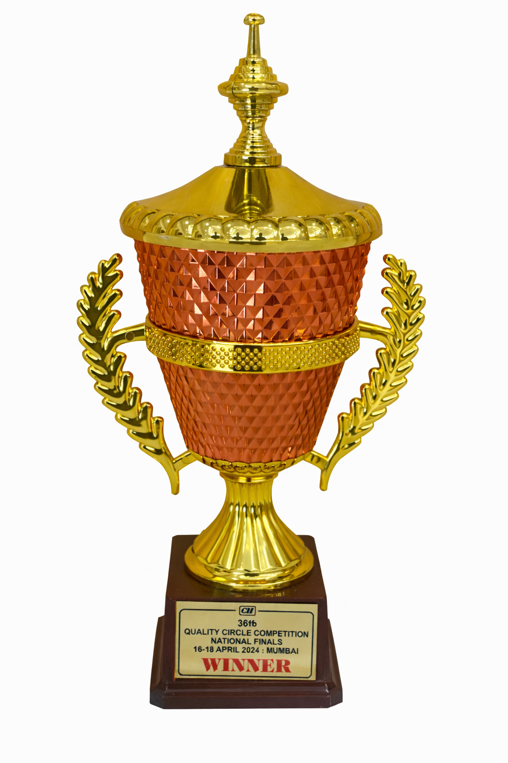 PACE Project – 36th CII Quality Circle Competition