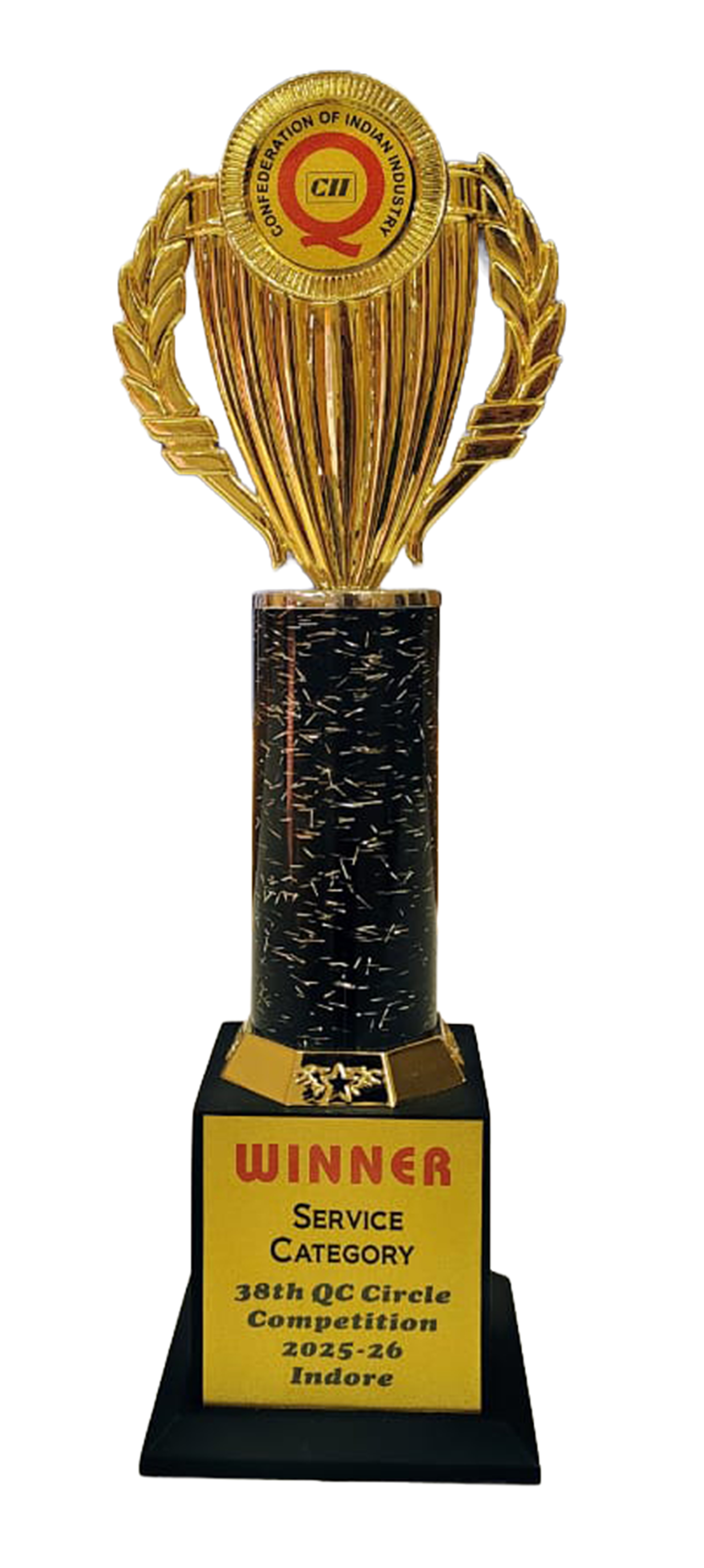 CII 38th QC Regional Award